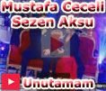 Mustafa Ceceli Sezen Aksu Unutamam Det video klip izle
